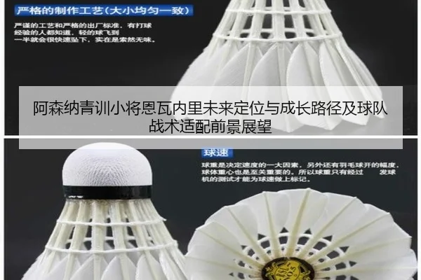 阿森纳青训小将恩瓦内里未来定位与成长路径及球队战术适配前景展望